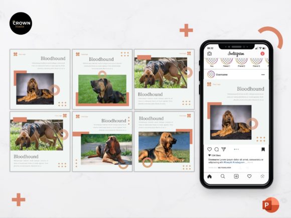 Download Instagram Feed Template -  Bloodhound - Template Collection