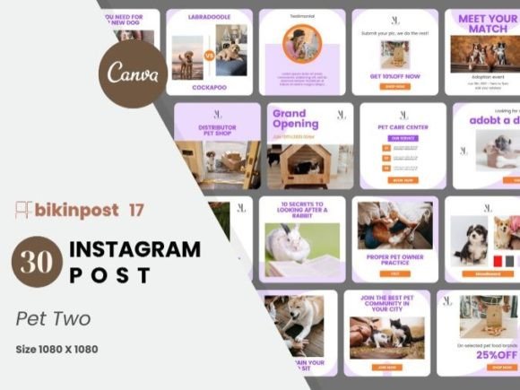 Download Pet Two Canva Instagram Post Template - Template Collection