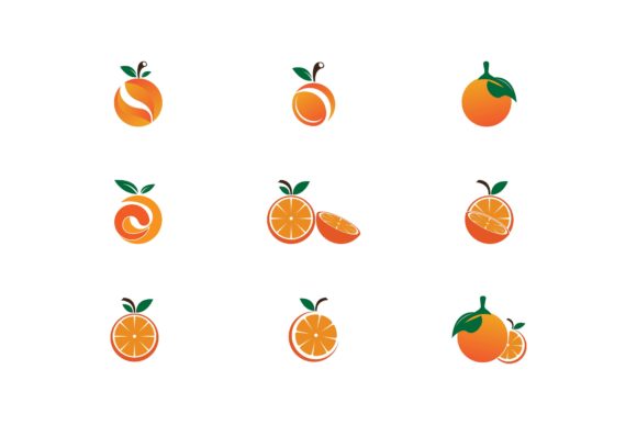 Download Orange Icon and Symbol Vector Template - Template Collection